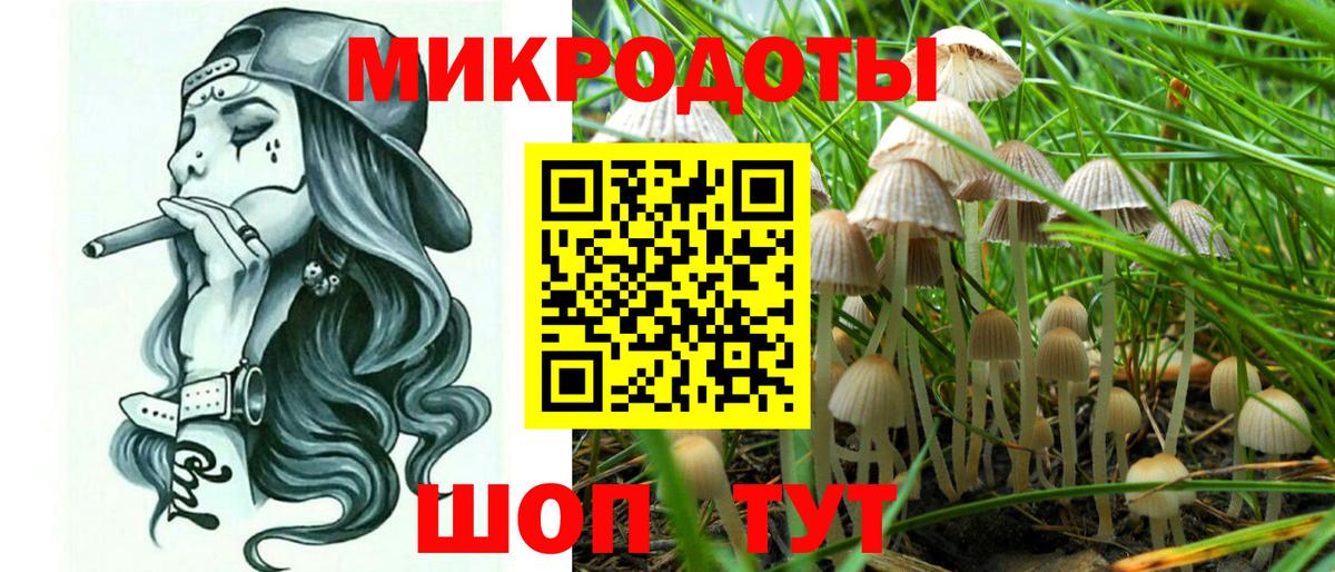 Псилоцибиновые грибы Psilocybine cubensis  Вход с VPN  Волжский  Псилоцибиновые грибы Psilocybe 